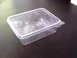 Barquette Standipack avec couv. PET 500ml (7D)